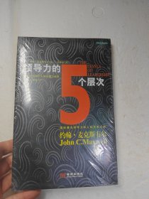 领导力的5个层次