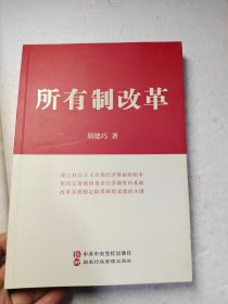 所有制改革