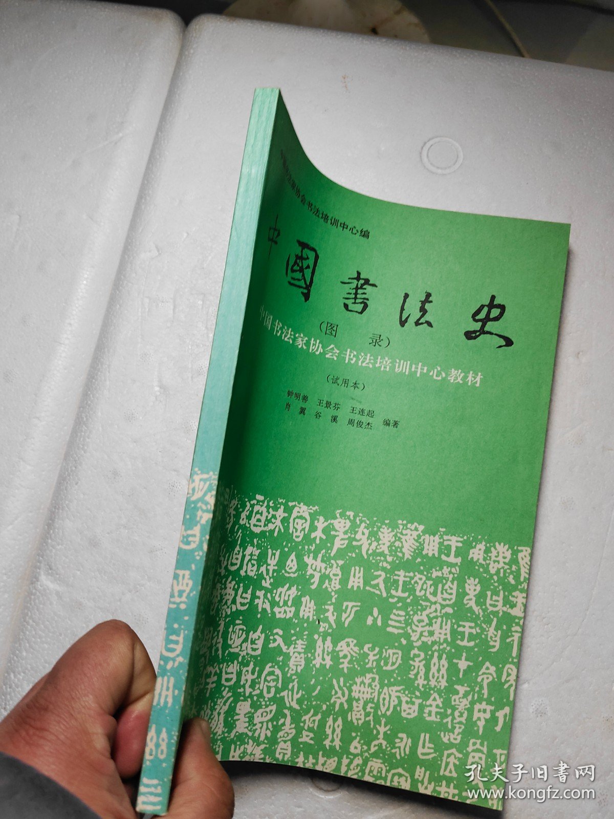中国书法史图录