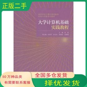 大学计算机基础实践教程段富主编高等教育出版社9787040305586