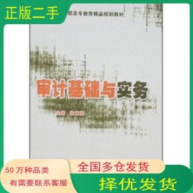 審計(jì)基礎(chǔ)與實(shí)務(wù)梁建民清華大學(xué)出版社9787811231168