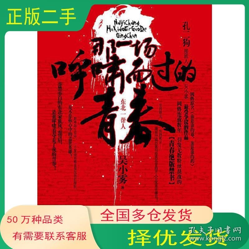 那一场呼啸而过的青春吴小雾　著江苏文艺出版社9787539933054