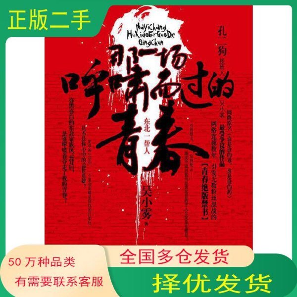 那一场呼啸而过的青春吴小雾　著江苏文艺出版社9787539933054