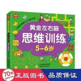 左右脑思维训练 5-6岁 智力开发 作者 新华正版