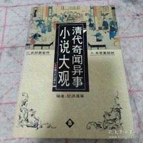 《清代奇闻异事小说大观 B》j5zb1