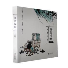全新正版图书 回望故乡王志祥海豚出版社9787511059093