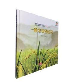 全新正版图书 一碗米饭的故事陈翠文中国人口出版社9787510163449 儿童故事图画故事中国当代岁