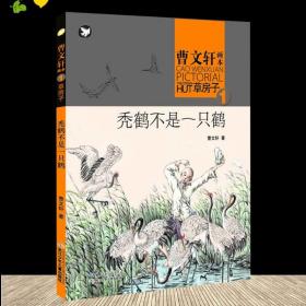 曹文轩画本 草房子秃鹤不是一只鹤  儿童文学 长江少年儿童出版社 记忆中国童年情感