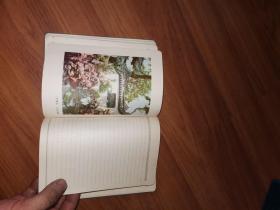 老笔记本：公私合营上海文化纸品厂36开120页日记簿内芯70克书写纸老笔记本（内彩色插页为上海豫园）除扉页被撕，其它完好，未使用