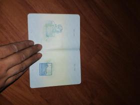 护照：中国2010年上海世博会纪念护照（盖有十五个馆的印章）