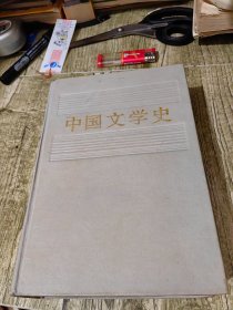 中国文学史 精装本一版一印