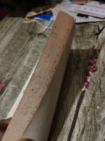 幼儿园教材游戏（教师用书）