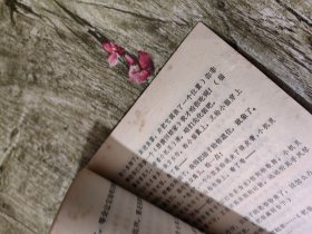幼儿园教材游戏（教师用书）