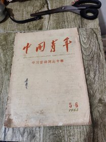 中国青年 学习雷锋同志专辑1963年5-6合刊