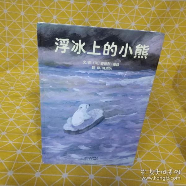 浮冰上的小熊