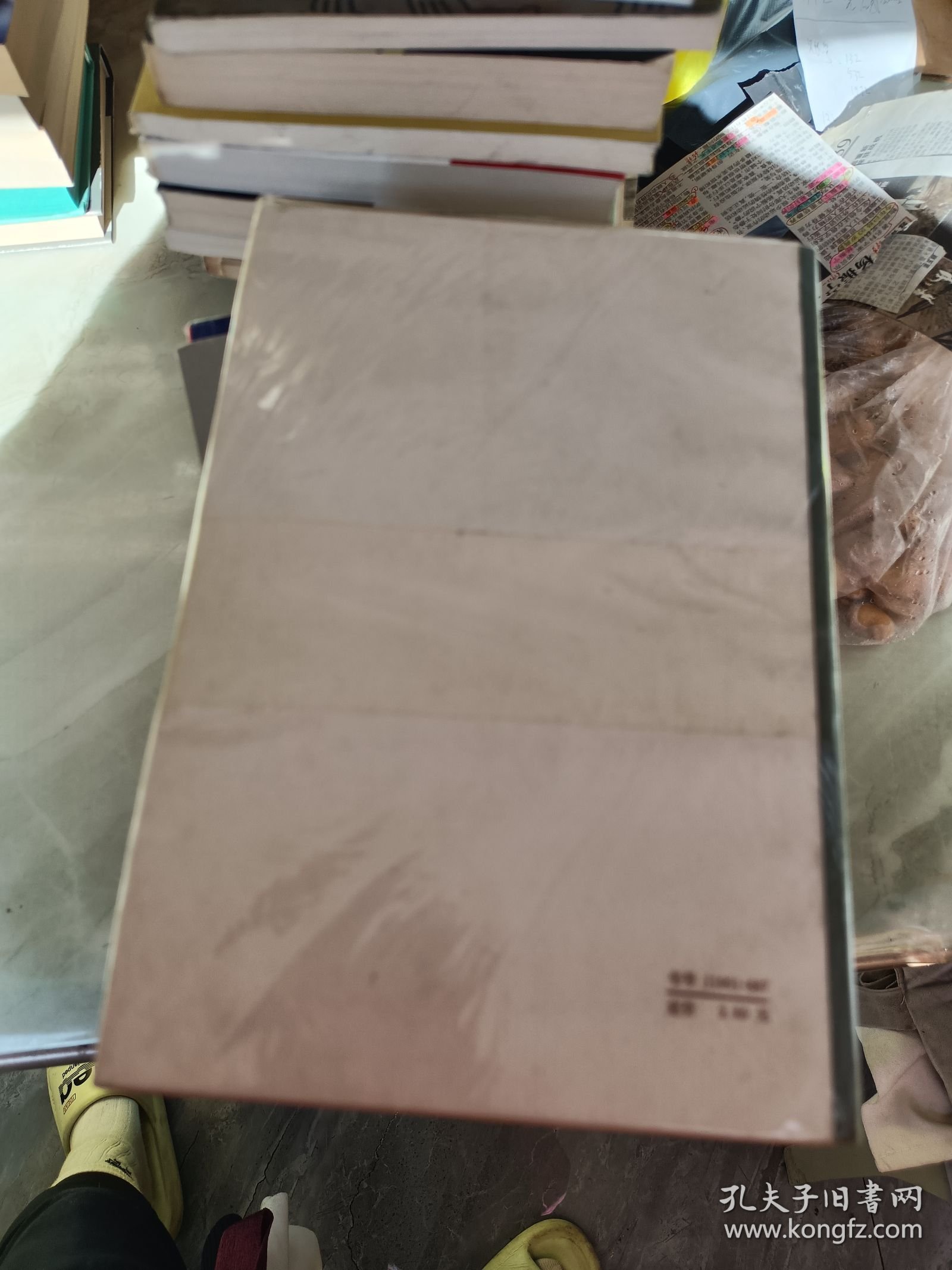 俄国通史简编（上下册）