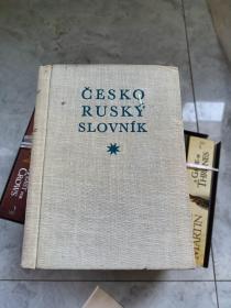 česko-ruský slovník