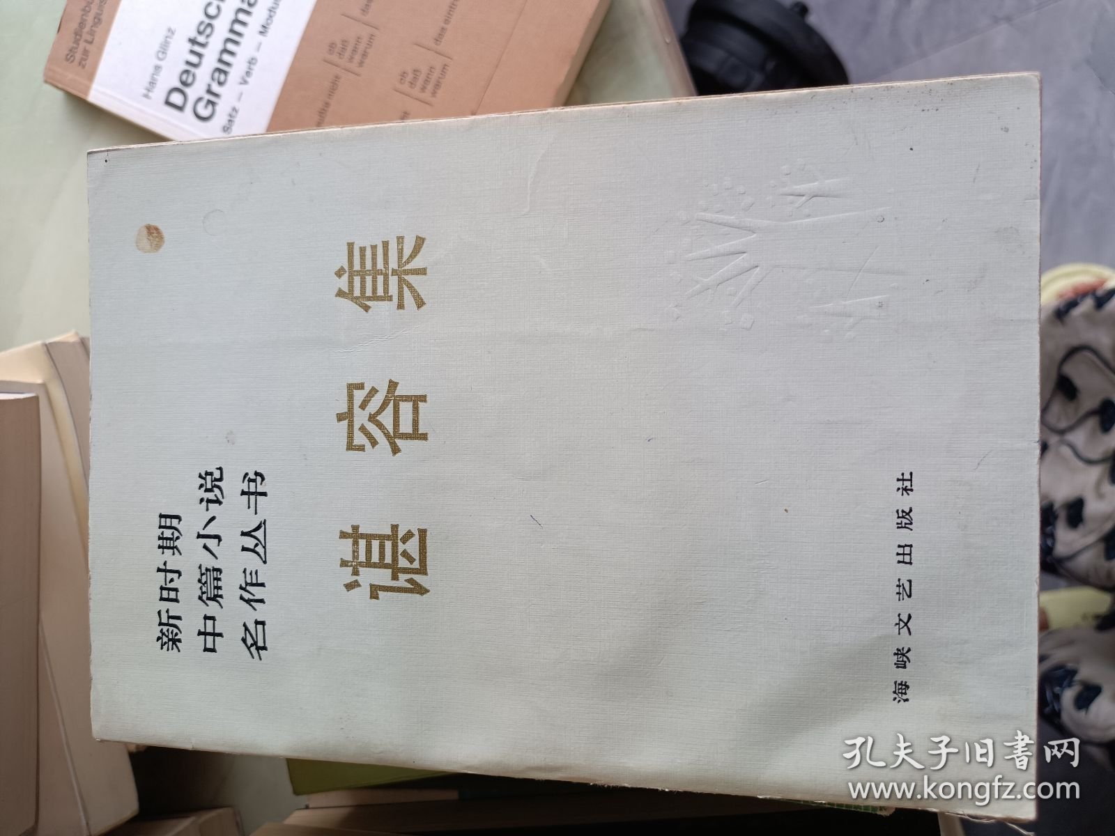 谌容集
