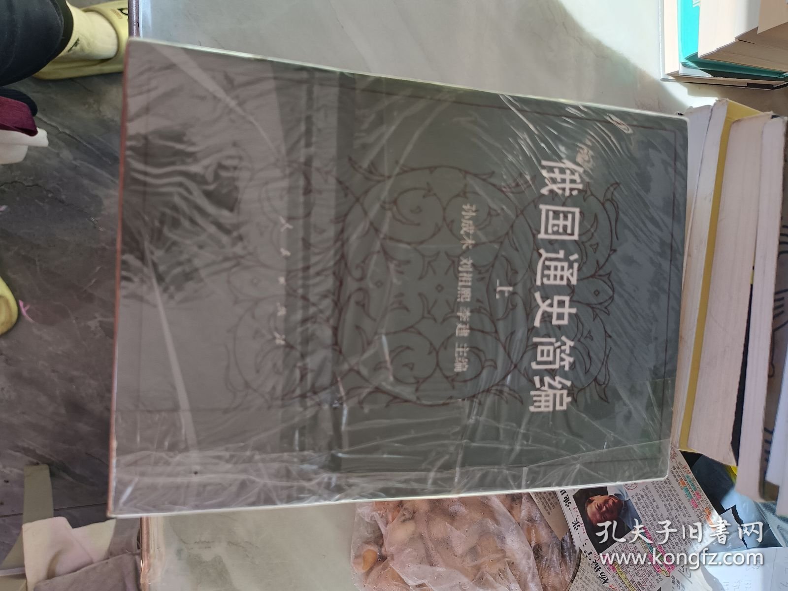 俄国通史简编（上下册）