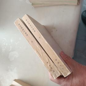 新说西游记图像 【上，下册  】