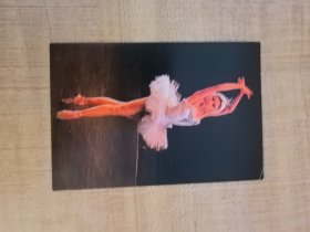 1981年历卡舞蹈芭蕾天鹅湖，年历卡