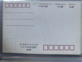 80年代明信片，美女，电影庭院里的女儿上映，