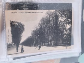 1900-1925年法国、美国老明信片，风景