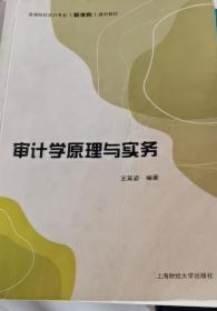 审计学原理与实务