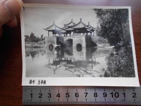 老照片【50年代，扬州五亭桥】