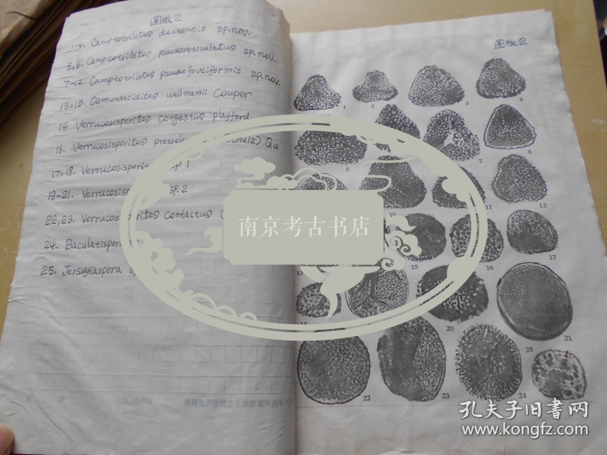 地质古生物研究所，刘兆生【手稿资料，一沓】