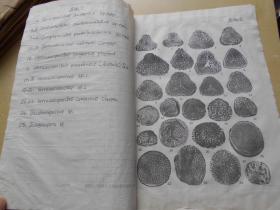 地质古生物研究所，刘兆生【手稿资料，一沓】