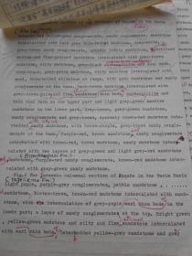 地质古生物研究所，刘兆生【手稿资料，一沓】