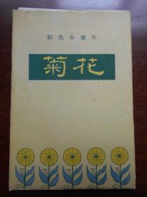 1957年【菊花，画片，存11张】上海人民美术出版社