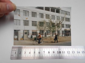 老照片【90年代，泗洪县卫生防疫站】