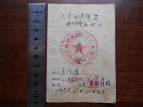 1951年【南京市高淳县淳溪镇职工消费合作社，社员证】