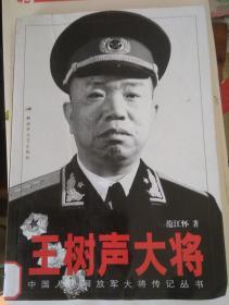 解放军大将传奇之《王树声大将》