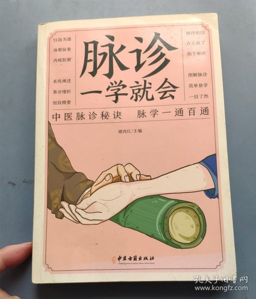 脉诊-----一学就会