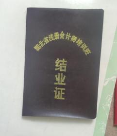 1994年《注册会计师培训结业证》