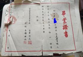 1955年湖北省襄阳师范学校附属小学《毕业证》----初小