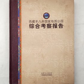 西藏羊八井国家地质公园综合考察报告