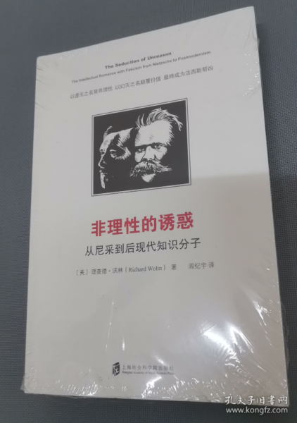 非理性的诱惑:从尼采到后现代知识分子