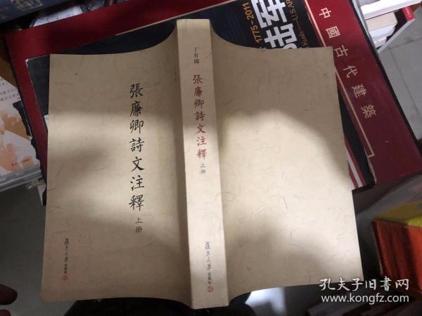 张廉卿诗文注释 上册