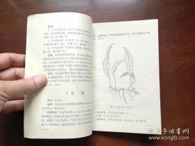 《防治感冒及气管炎中草药手册》（全一冊），人民卫生出版社1976年平裝32開、一版一印、館藏書籍、全新未閱！包順丰！