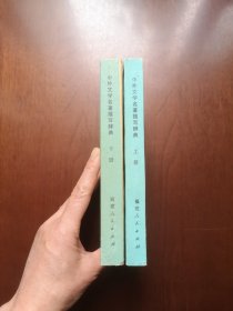 《中外文学名著描写辞典》（全二冊），福建人民出版社1982年平裝32開、一版一印、私人藏書、包順丰！