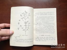 《防治感冒及气管炎中草药手册》（全一冊），人民卫生出版社1976年平裝32開、一版一印、館藏書籍、全新未閱！包順丰！