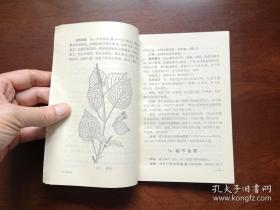 《防治感冒及气管炎中草药手册》（全一冊），人民卫生出版社1976年平裝32開、一版一印、館藏書籍、全新未閱！包順丰！