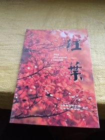 红叶 创刊号