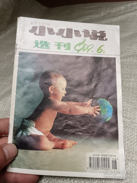 小小说选刊1999年第6期