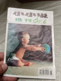 小小说选刊1999年第6期