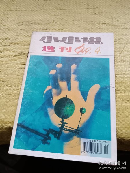 小小说选刊1999年第4期